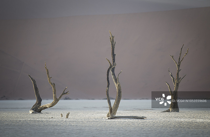 纳米比亚死亡谷风景图片素材