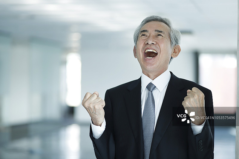 年长的商人办公室欢呼图片素材