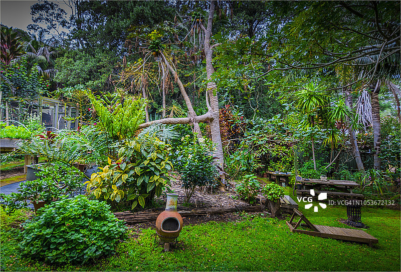 南太平洋诺福克岛上的热带花园图片素材