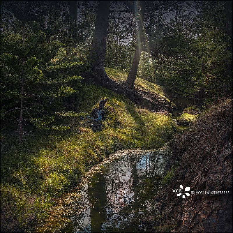 诺福克岛南太平洋上的双峰储备区图片素材