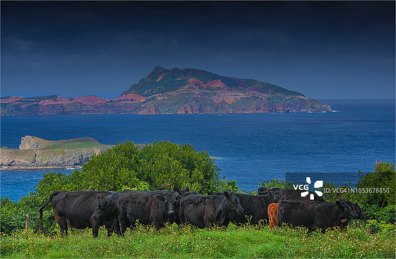 南太平洋诺福克岛，从鲁蒂山路观赏菲利普岛图片素材