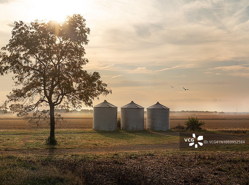 雾蒙蒙的日出时分的农场筒仓图片素材