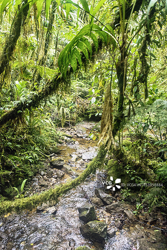 普鲁拉图片素材