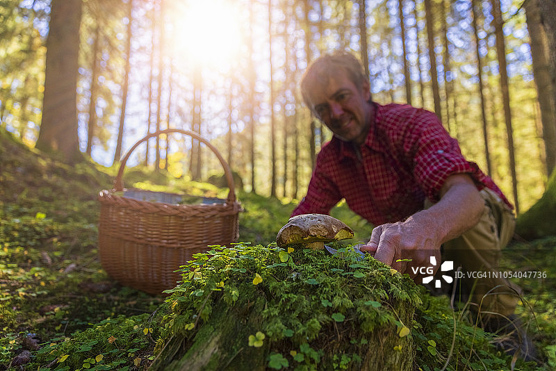 快乐的采蘑菇人在秋天的森林里有所收获图片素材
