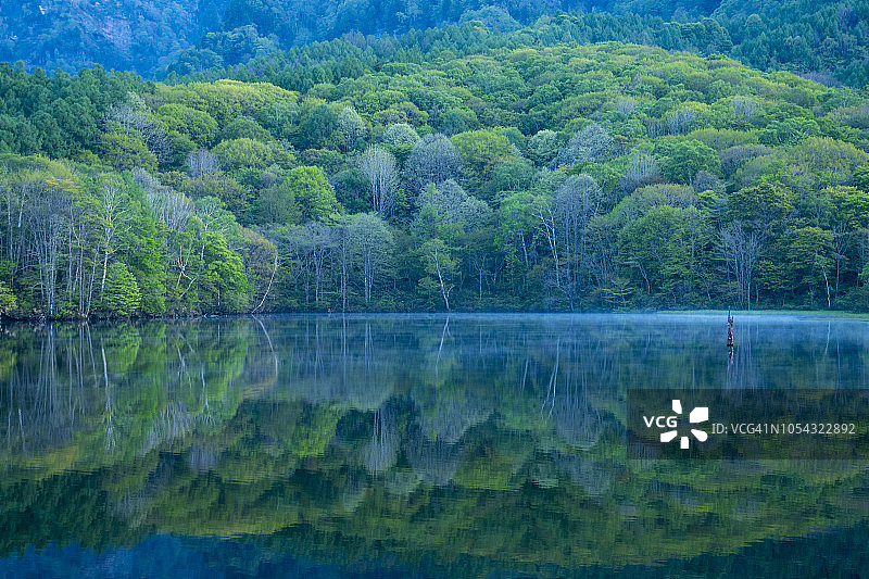 日本长野县的镜池清晨图片素材