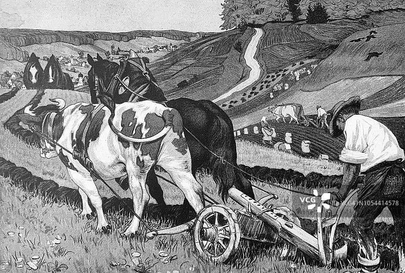 耕地的农民图片素材