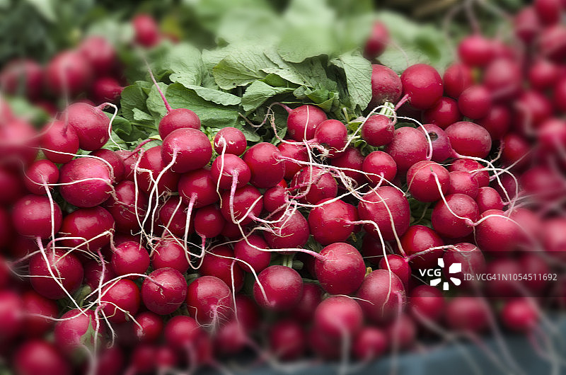 农贸市场萝卜图片素材