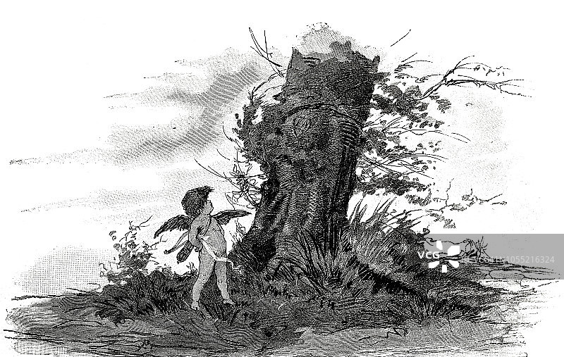 象征：天使看着树皮上雕刻的心图片素材