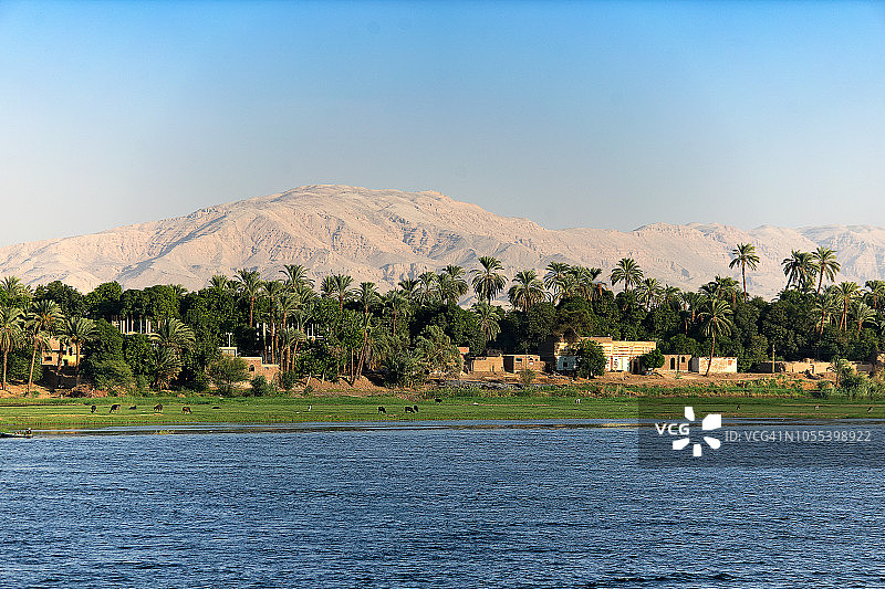 埃及尼罗河沿岸的椰枣树和小村庄美景图片素材