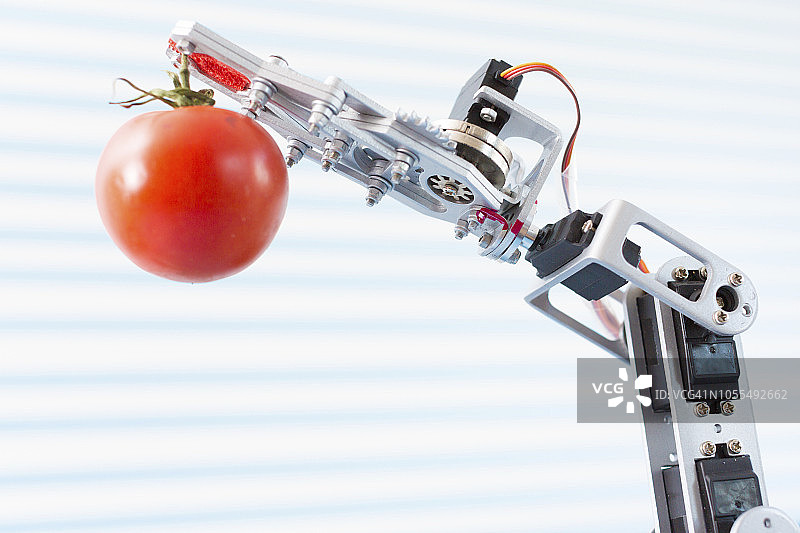 机械臂 holding 番茄图片素材