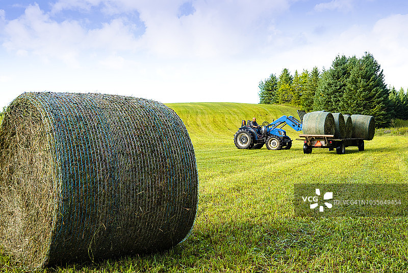 农民在田地里用拖拉机将干草捆装到拖车上图片素材