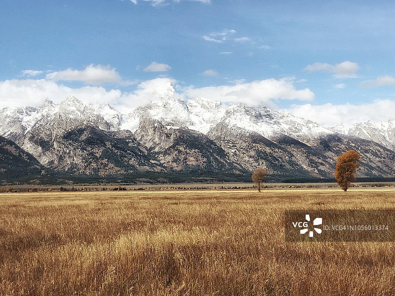 群山前的秋日孤树图片素材
