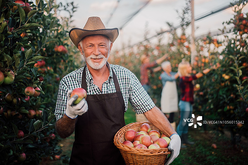 快乐的男人拿着一篮苹果图片素材