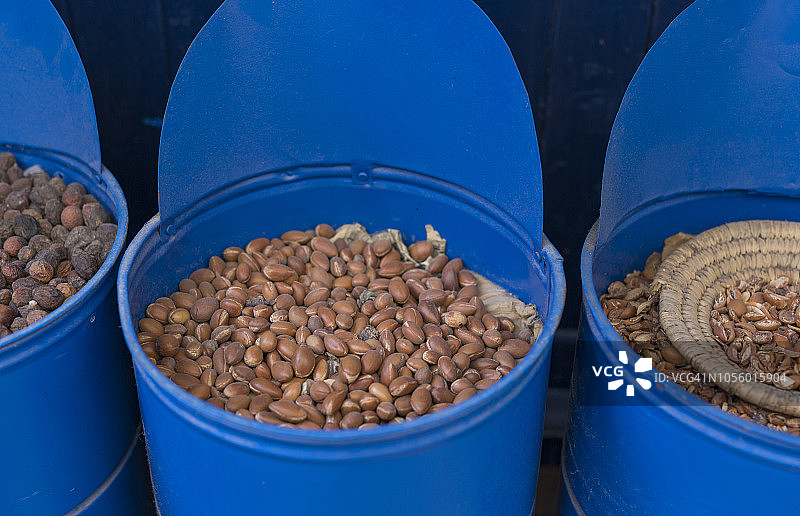 阿甘种子图片素材