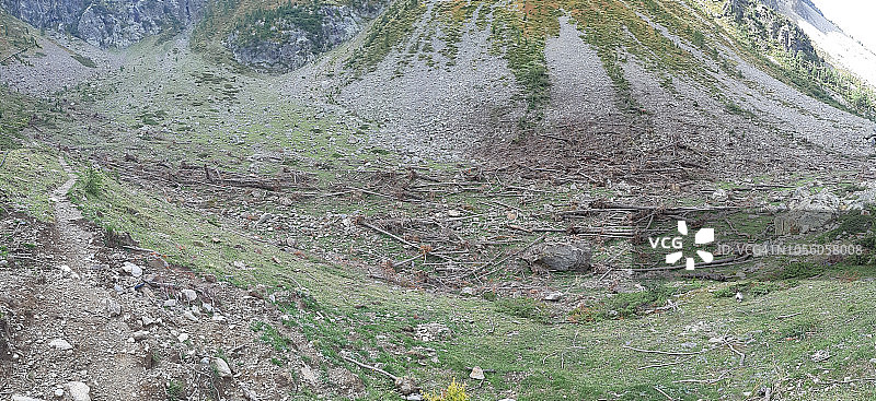 被大型雪崩摧毁的森林图片素材