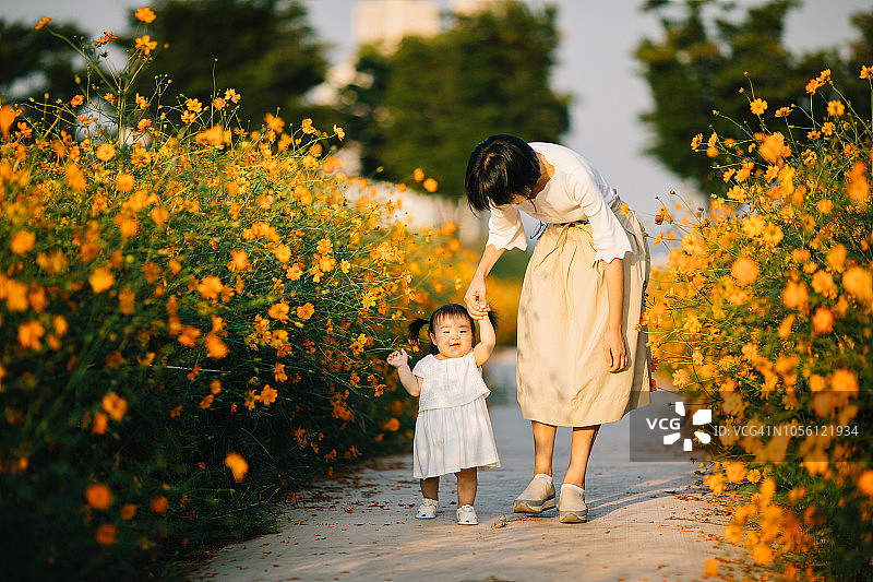 快乐的母亲和宝宝在黄色波斯菊花田中图片素材