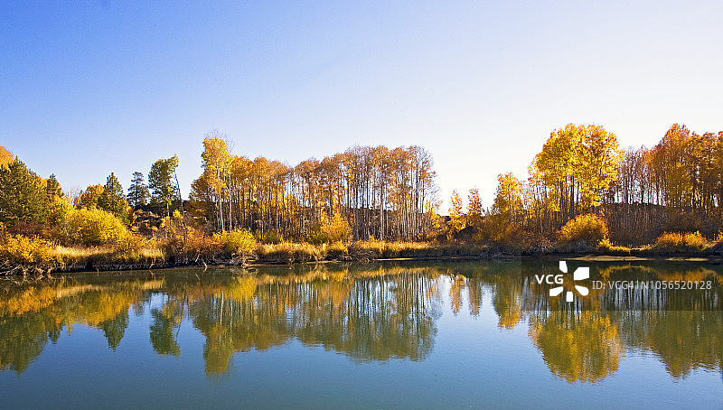 十月德舒特河畔的金色白杨树图片素材