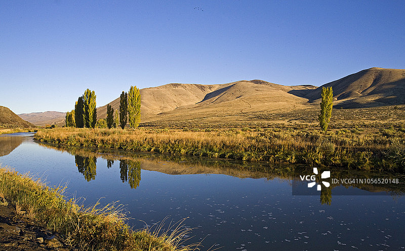 俄勒冈州马卢尔河沿岸秋天的柳树图片素材