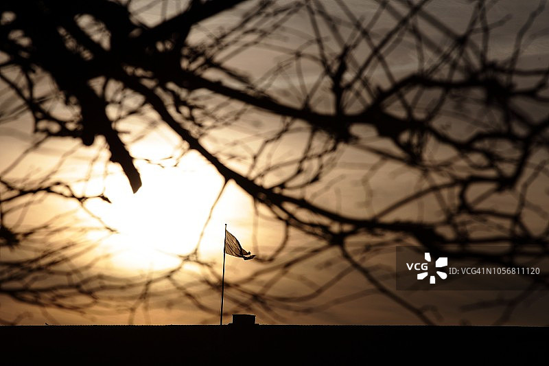 日落下的丹麦国旗，前景为树枝，哥本哈根图片素材