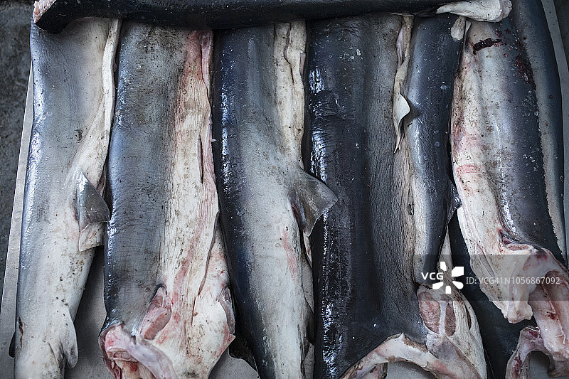 海鲜加工厂的蓝色鲨鱼肉图片素材
