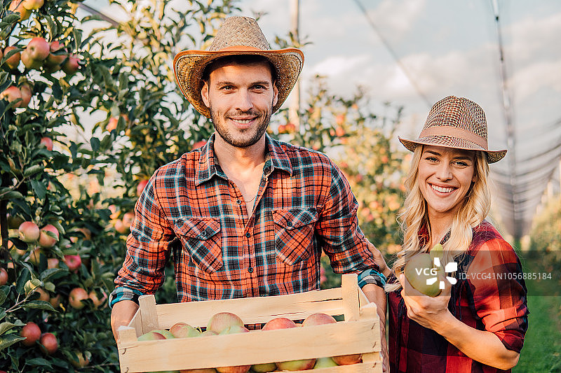 苹果园里的情侣图片素材