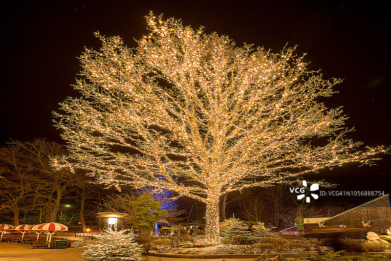 丹麦圣诞节图片素材