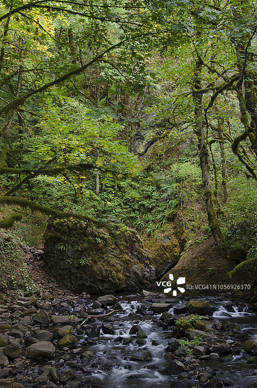 哥伦比亚河峡谷新娘面纱瀑布图片素材