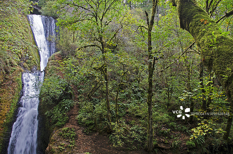 哥伦比亚河峡谷新娘面纱瀑布图片素材