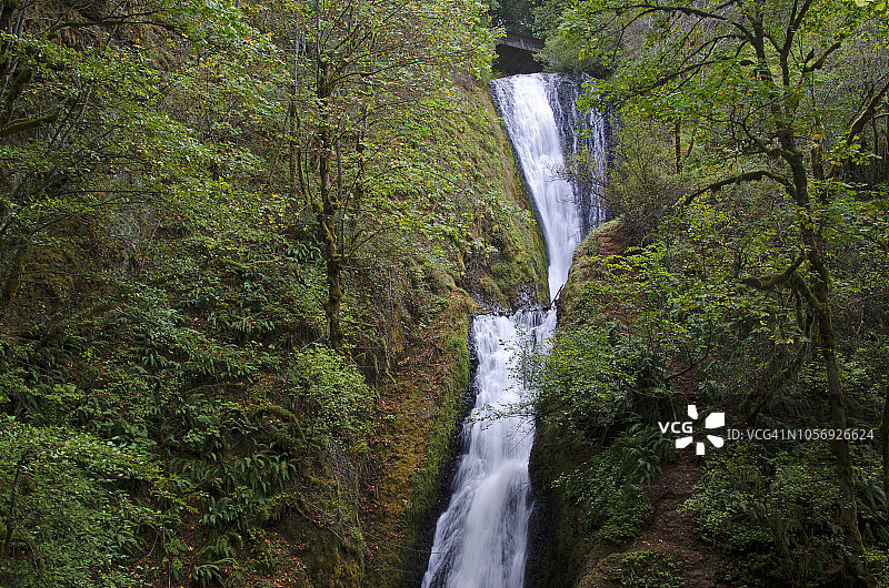 哥伦比亚河峡谷新娘面纱瀑布图片素材