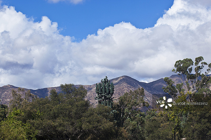 试图隐藏在树木和托帕托帕山背景下的美国加州奥海移动电话信号塔图片素材
