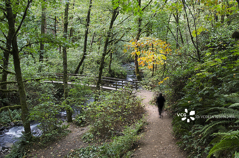 哥伦比亚河峡谷新娘面纱瀑布小径图片素材