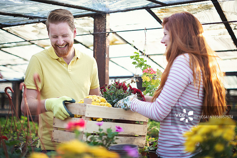 年轻情侣在花卉温室里一起工作图片素材