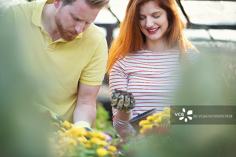 年轻情侣在花卉温室里一起工作图片素材