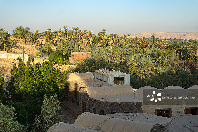埃及拜哈里耶沙漠附近的bawiti村庄，有枣椰树和枣树图片素材