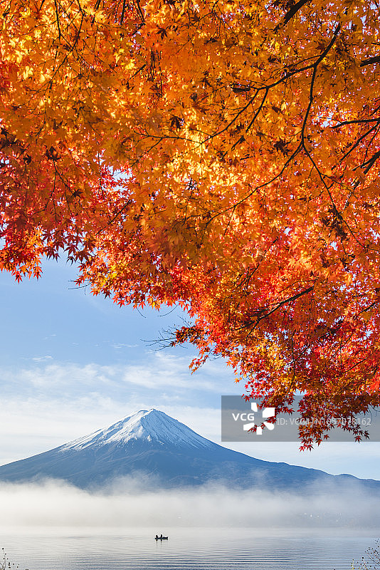 秋季河口湖的红枫与雾中的富士山图片素材