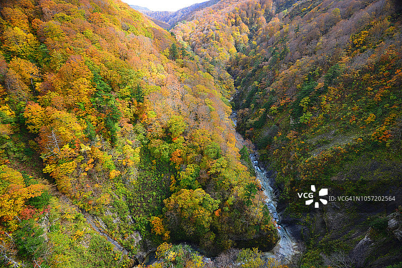 日本青森县的秋色：jogakura峡谷图片素材
