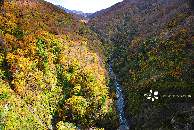 日本青森县的秋色：jogakura峡谷图片素材