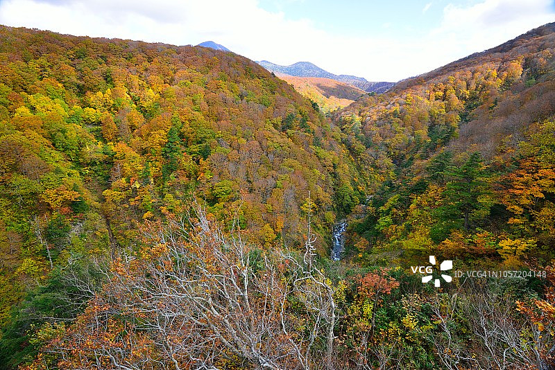 日本青森县的秋色：jogakura峡谷图片素材