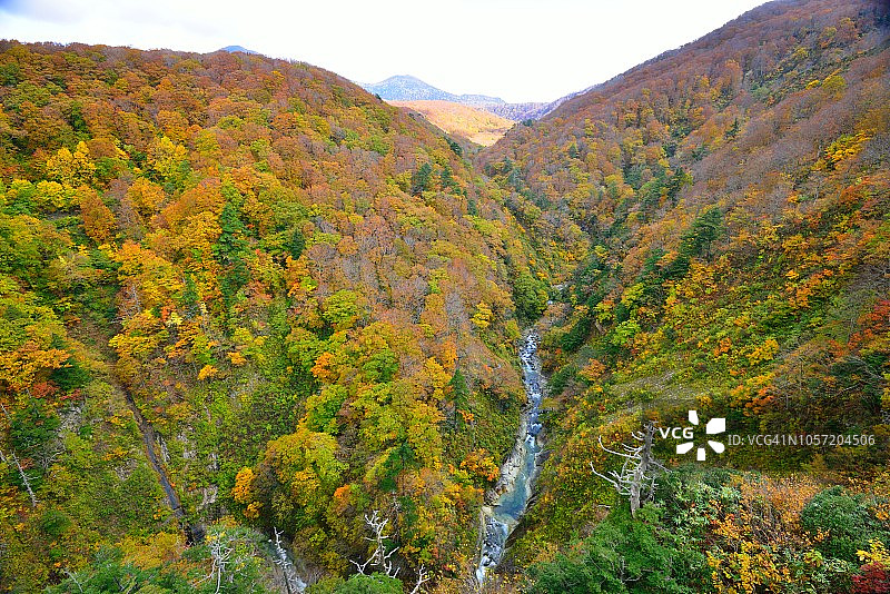 日本青森县的秋色：jogakura峡谷图片素材