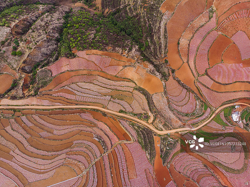 中国云南东川红土地图片素材