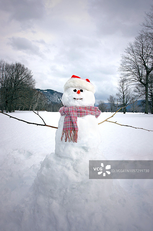 戴围巾、胡萝卜鼻子和圣诞帽的雪人图片素材