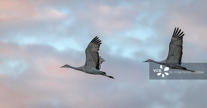 柔光下的飞逝图片素材
