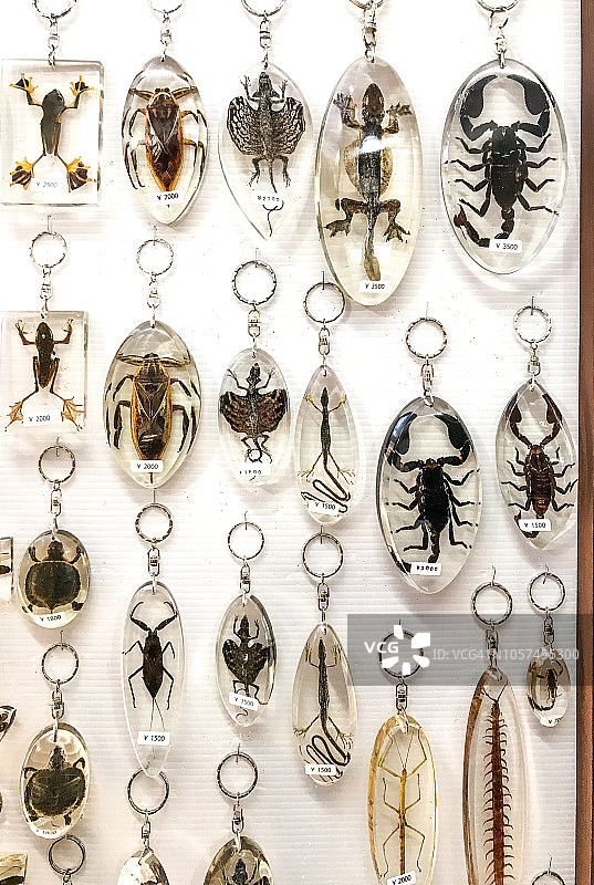 多种印尼小型生物树脂封装图片素材