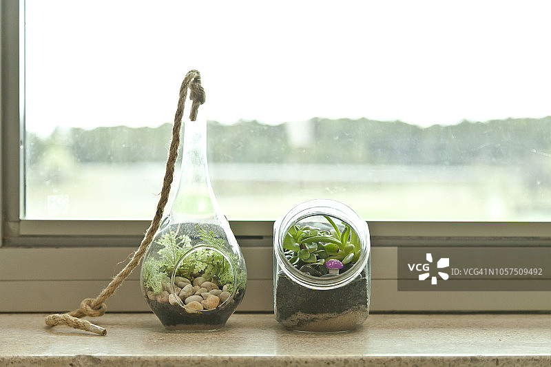 两个生态玻璃容器图片素材