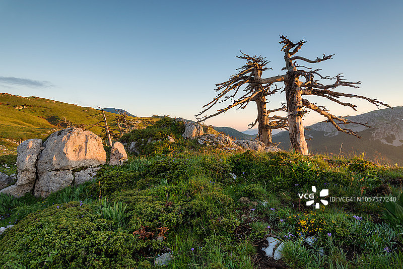 霞沃莱山日落时分的罗里卡托松化石图片素材