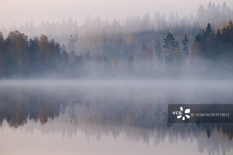 清晨薄雾中，落叶树和植被倒映在静谧的湖面上图片素材