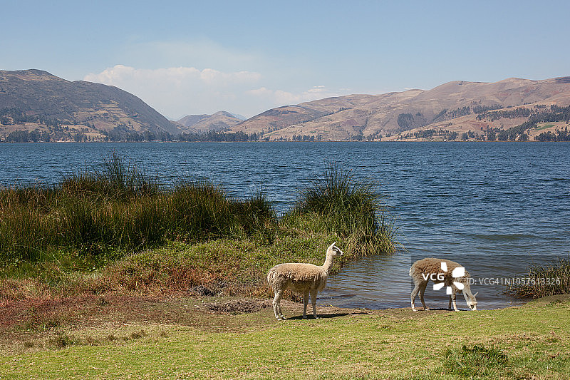 帕库查湖，安达瓦伊拉斯图片素材