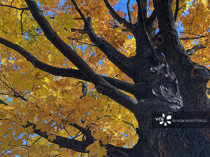 秋天的颜色图片素材