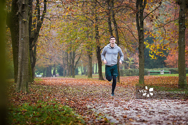 秋季公园跑步图片素材