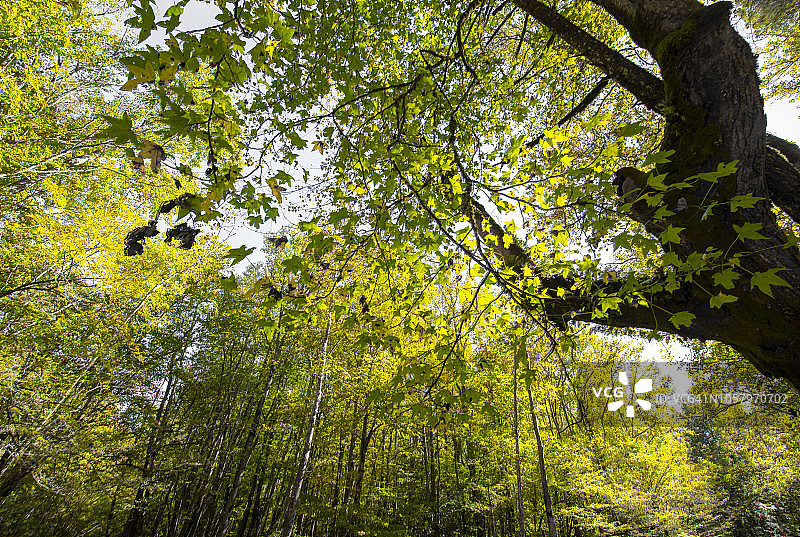 美国大雾山国家公园图片素材